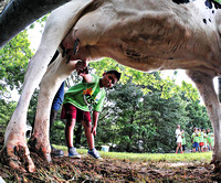 Truelove Dairy visit by Gainesville Housing Authority campers