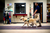 UNG Guide Dog Research