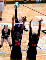 Volleyball: Gainesville V. North Hall